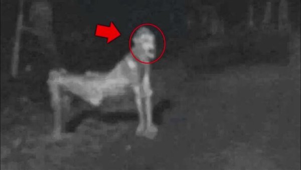 Слендермен 1983