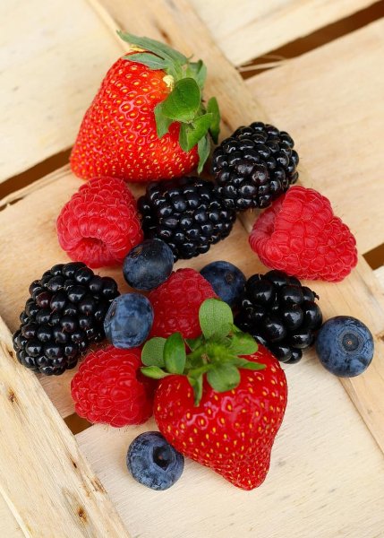 Малина черника ежевика