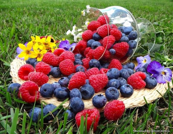 Лето фрукты ягоды дача