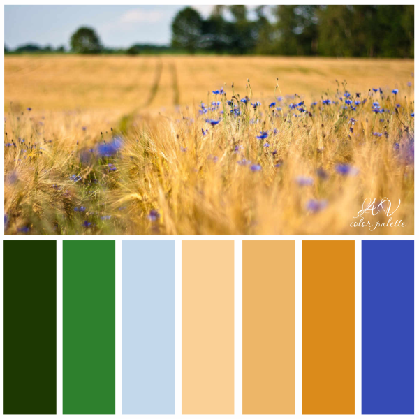 Природа солнце