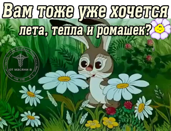 Хочется уже лета и тепла