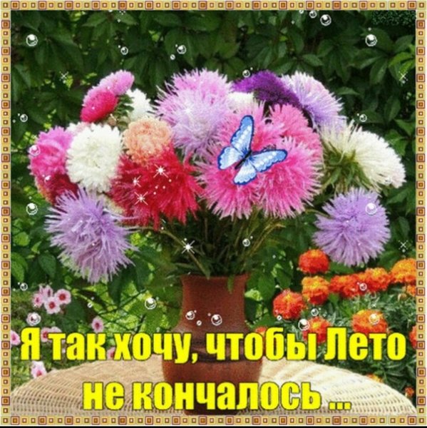 Я так хочу чтобы лето не кончалось