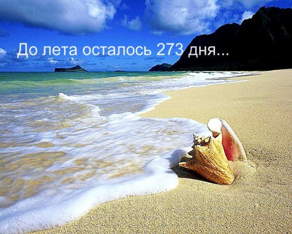 До лета осталось