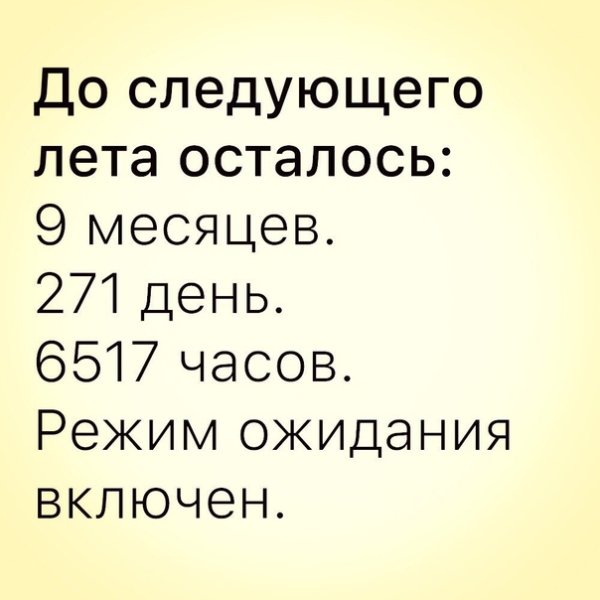 До следующего лета осталось