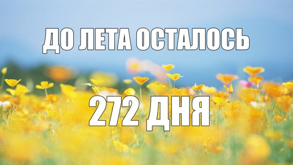 До лета осталось
