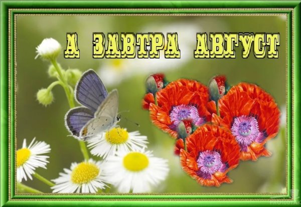 Прощай июль