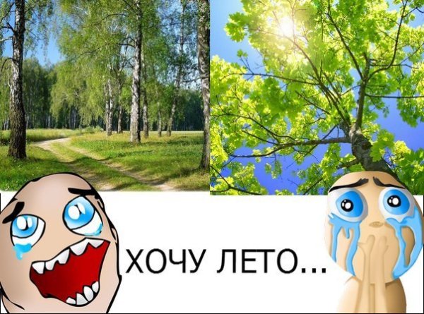 Хочется лета или лето