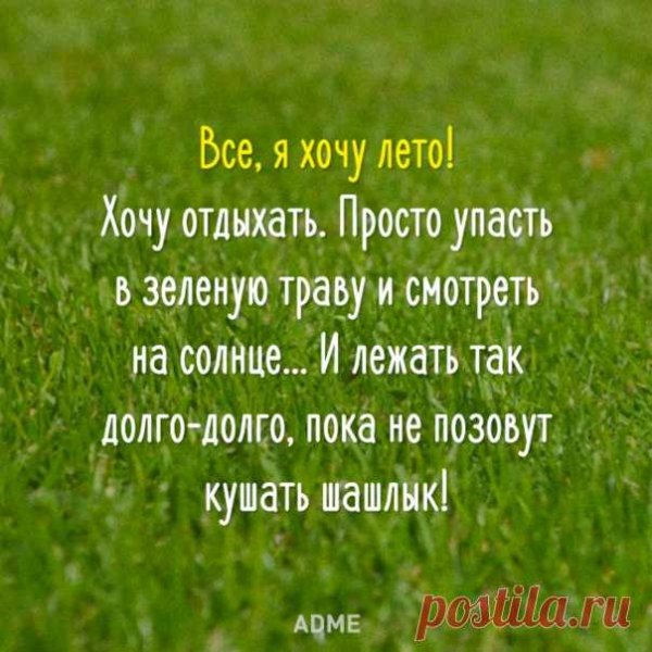 Высказывания про лето