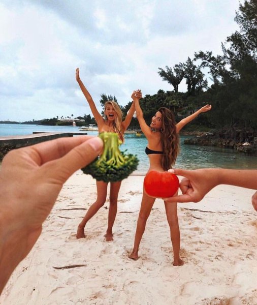 Июль животные