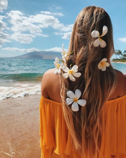 Фото на аватарку природа лето