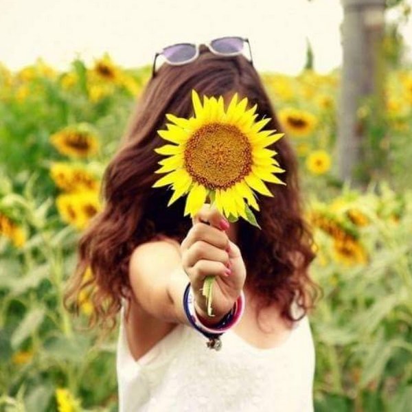 Ромашки и ягоды