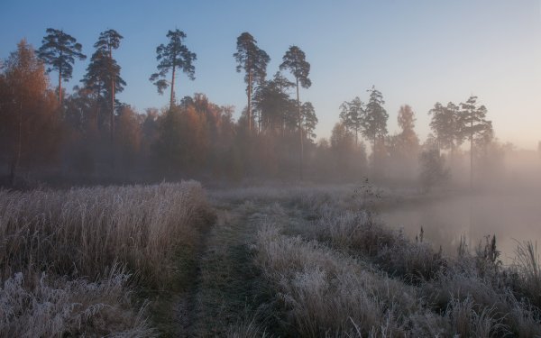 Холодное летнее утро