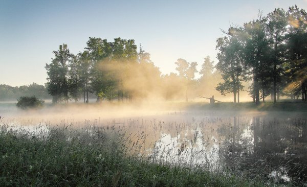 Туман осенью
