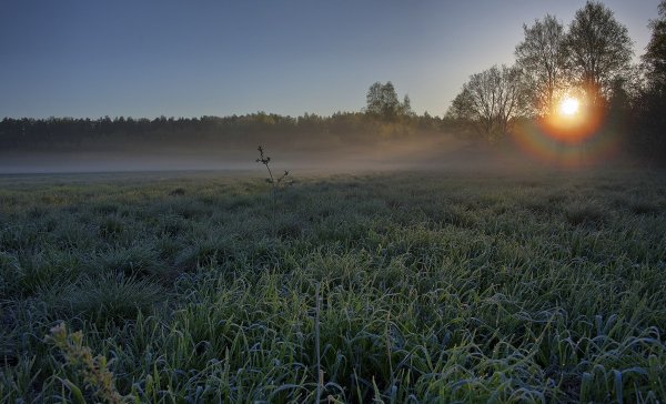 Холодный рассвет
