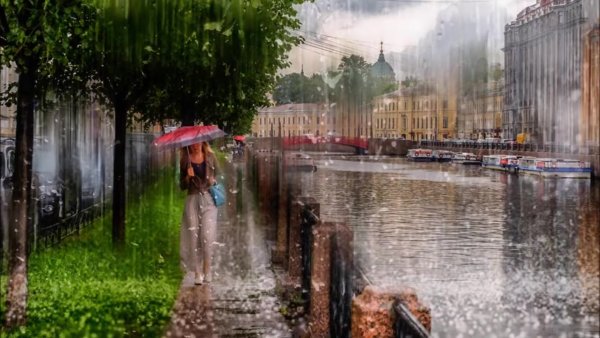 Дождливое лето