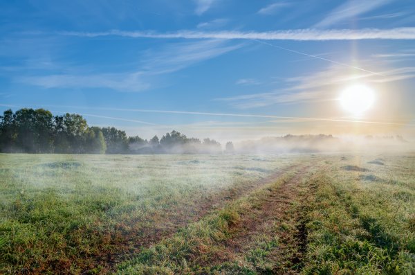Осенний утренний туман