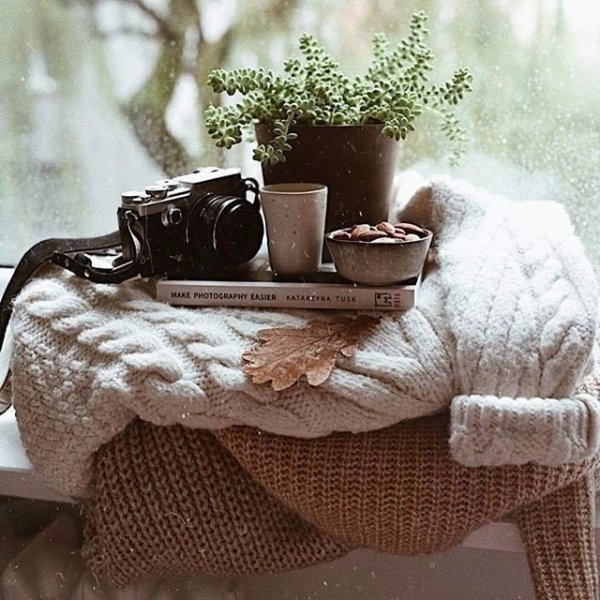 Хмурое летнее утро