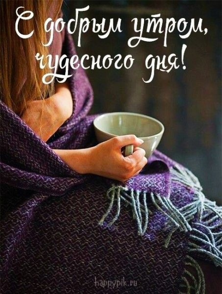 Раннее августовское утро