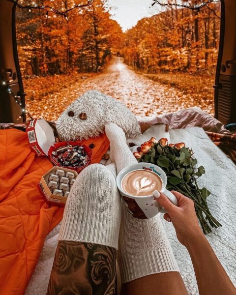 Холодное утро