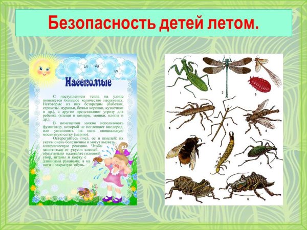 Безопасность детей летом Солнечный удар