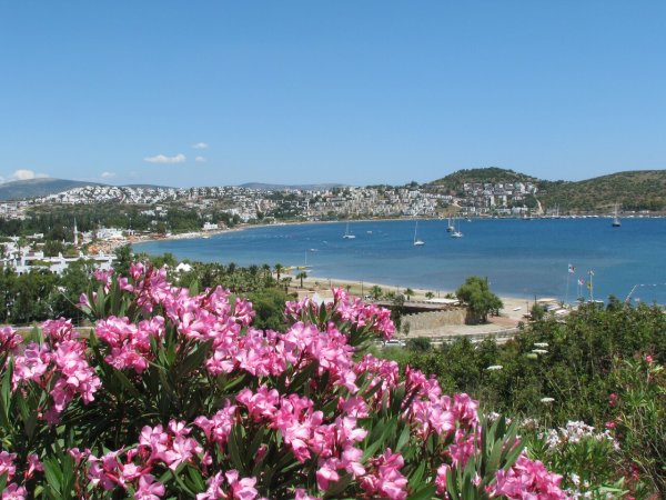 Турция Мармарис море цветы