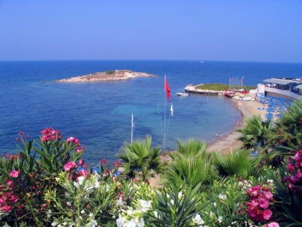 Санторини цветы Греция