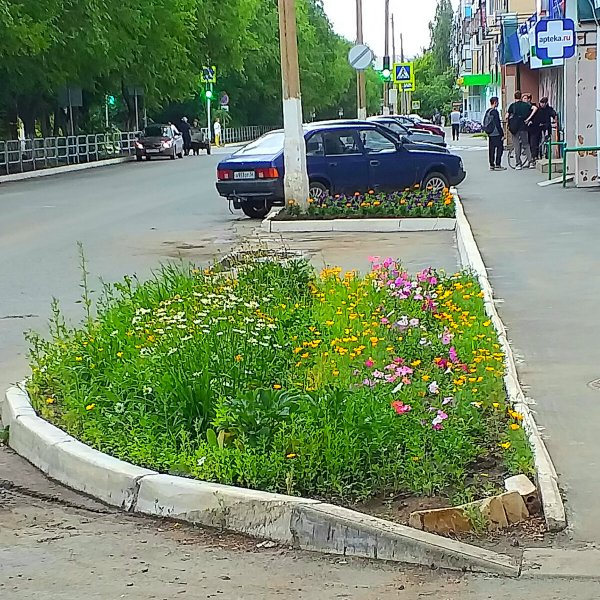 Большой Кремлевский сквер фото