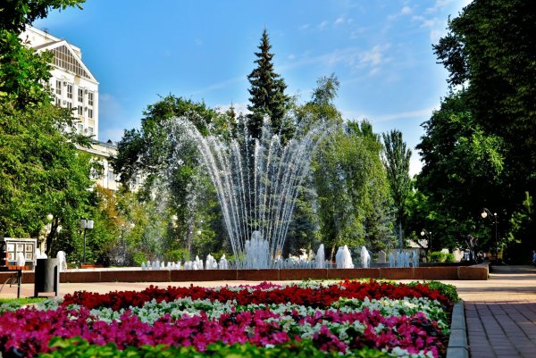 Парковый пейзаж