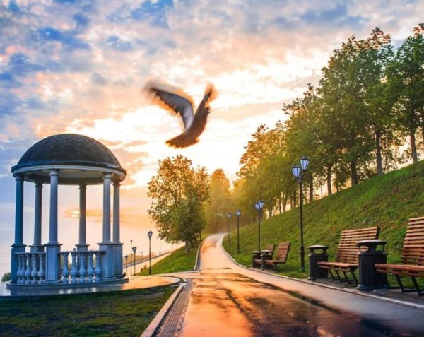 Тротуар в городе