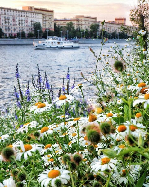 Набережная Волгоград аллея