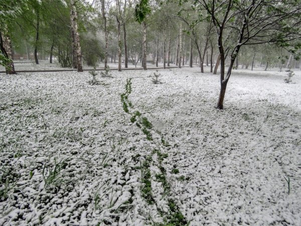 Снег летом в Мурманске
