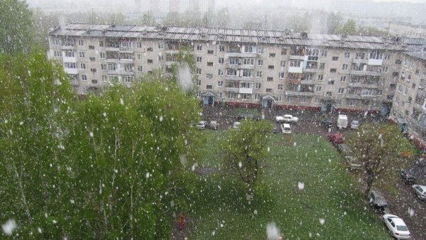 Смешные надписи на снегу