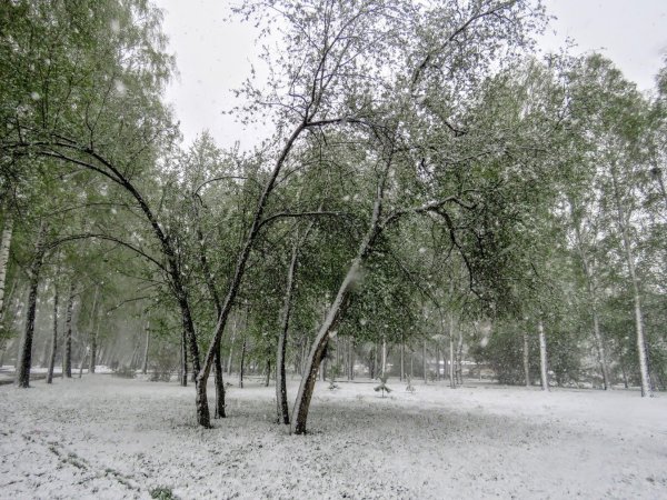 Встречаем весну