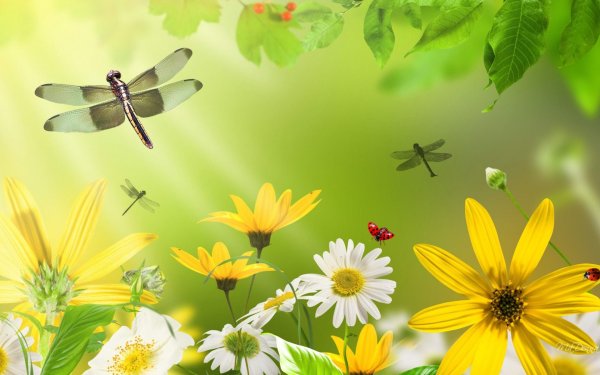 Фон для презентации природа