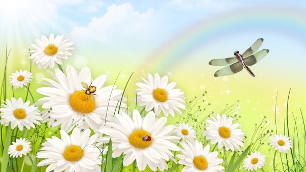 Летний фон для презентации