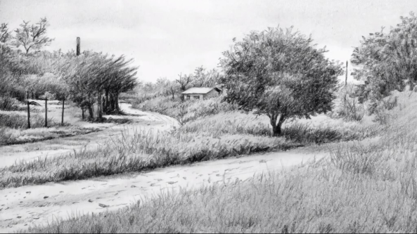 Летний пейзаж рисунок карандашом