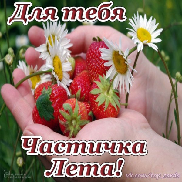 Прекрасного летнего дня