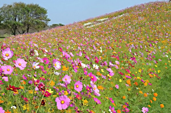 С началом лета