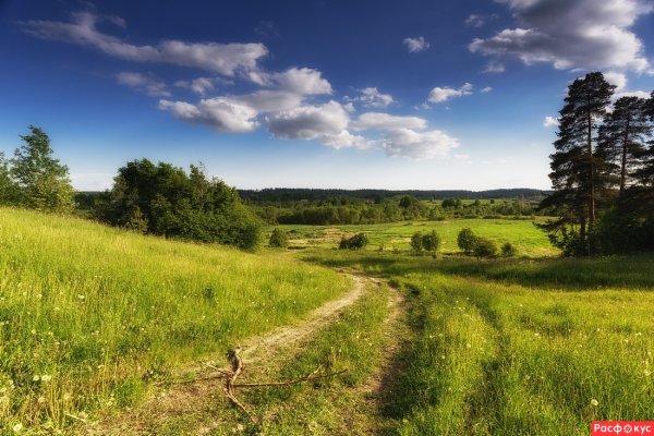 Летний пейзаж июнь