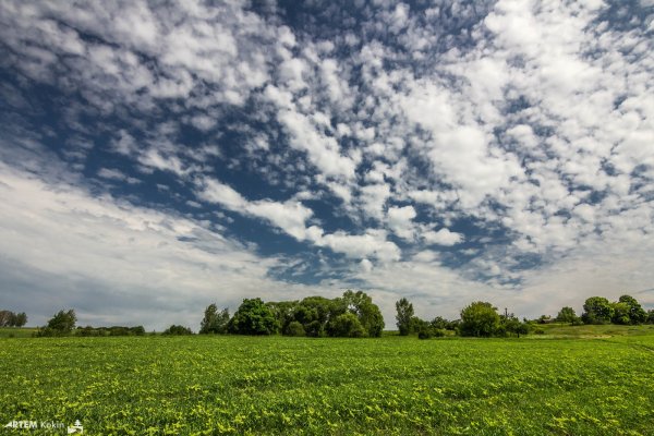 Природа в начале июня