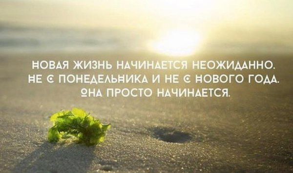 Новая жизнь цитаты