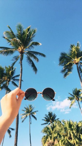 Лето сторис