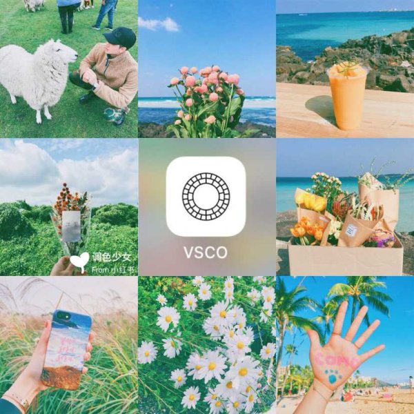 Vsco фильтр a10