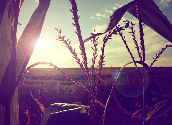 Крутое лето