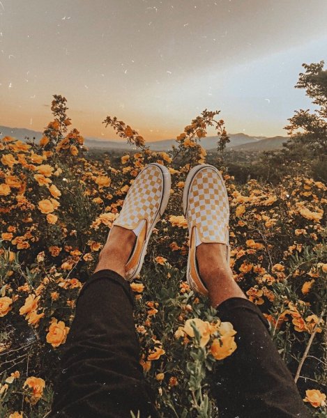 Лето Инстаграм