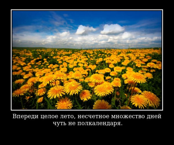 Прошло уже целое лето