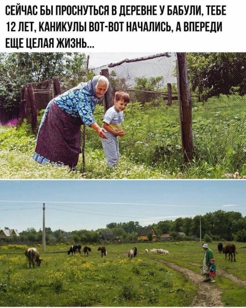 Утро у бабушки в деревне