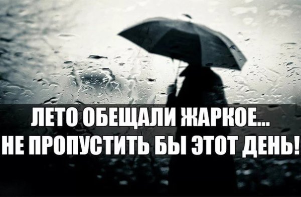 Карикатуры про лето