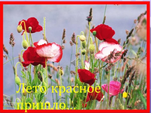 Презентация о лете