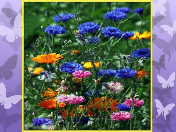 Радуга картинка для детей